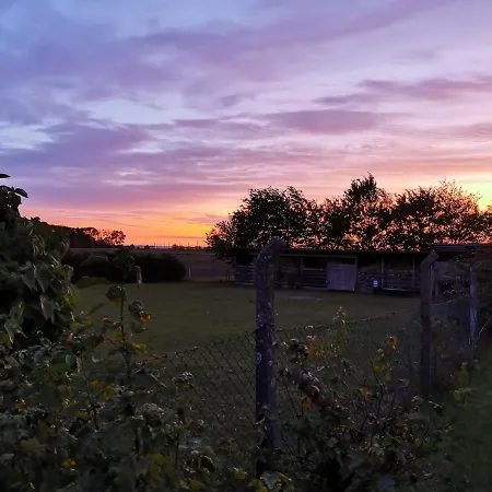 Reet Ruegen Appartamento Ummanz