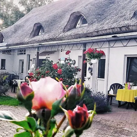 Reet Ruegen * Ummanz