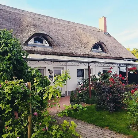 Reet Ruegen Appartamento Ummanz