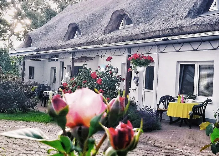 Reet Ruegen * Ummanz